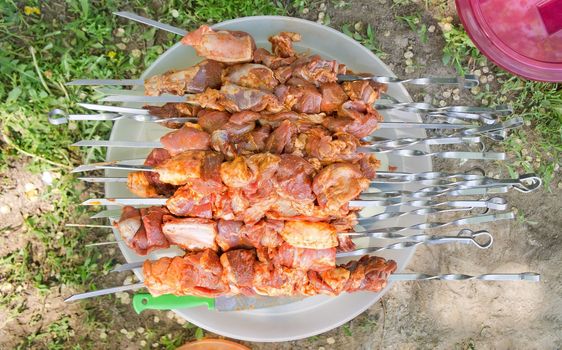 Raw kebab on the dish for preparing outdoors.