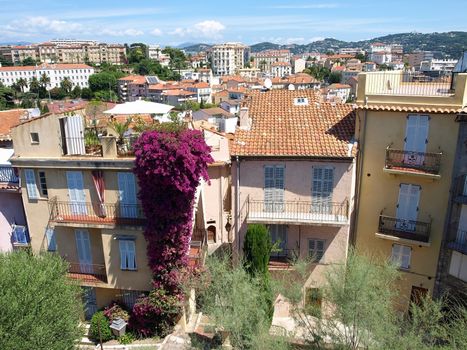 View of Cannes taken from tower in the old town.