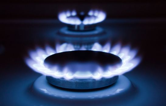 Blue flames of a burning natural gas. Gas cooker in action. 