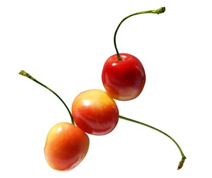 Three yellow-red cherries isolated over white with clipping path