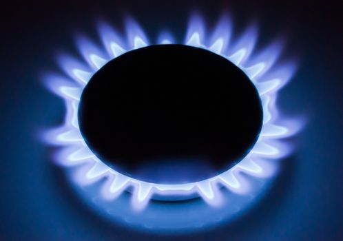 Blue flames of a burning natural gas. Gas cooker in action. 