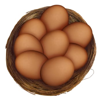 Eggs in a nest isolated on white background