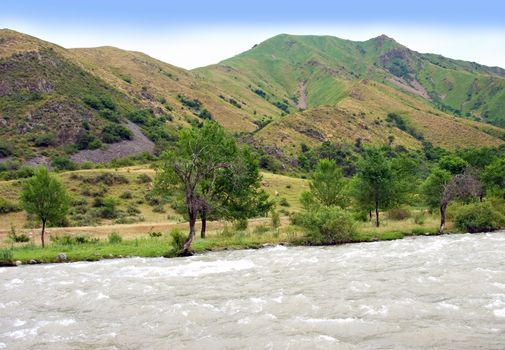 Beautiful Alpine landscape with mountain river in summer day