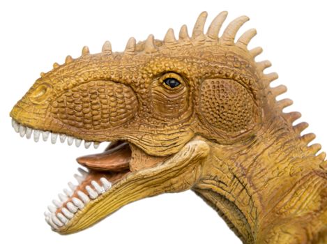 Tyrannosaurus portrait close-up isolated over white background