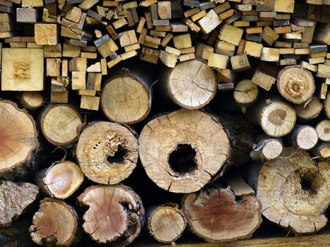 Cut logs, background of wooden cut texture