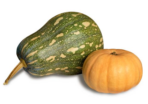 Two pumpkins isolated over white with shadow. Clipping path.