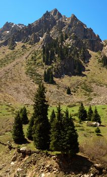 Vertical landscape - panorama of the Tien Shan mountains, Kazakhstan. 
This image has been converted from a RAW-format.