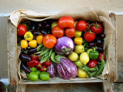 Just harvested fresh and ripe biological vegetables and fruits in a wooden box.