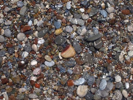 abstract background with round wet pebble stones