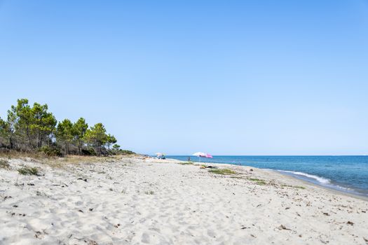 People on a sandy Beach and mediterranean sea during summer with copy space, Ghisonaccia, Corsica, France