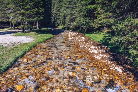 Beautiful view of mountain river in summer. Ialomita river, Romania, Europe. Carpathian mountains, Bucegi Natural Park. Beauty world.