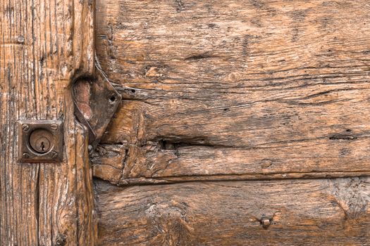 Details of the wood veins of an old door.