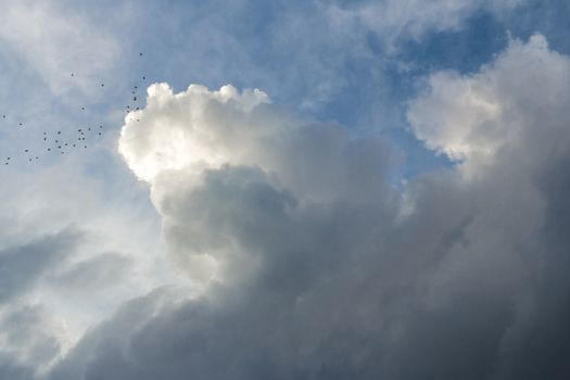 A flock of birds in the distance, bouncing on a little cloud, but without getting hurt.