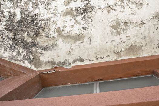 Mold and moisture buildup on a ceiling. Peeling paint, indicating damp. Ideal for concepts and backgrounds.