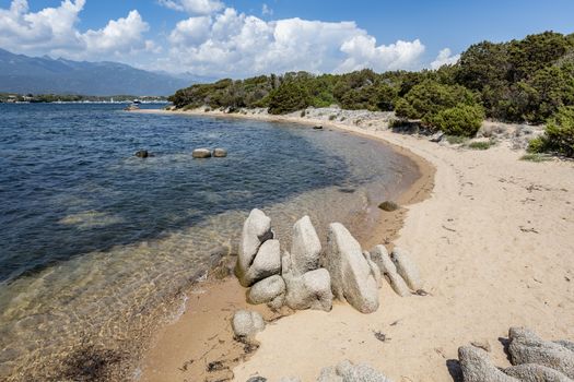 Wild sandy beach during summer with nobody, Figari, Corsica, France