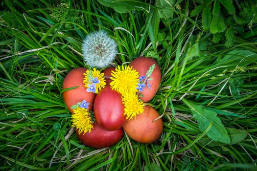 Red easter eggs on the grass with flowers and blowballs, naturally colored easter eggs with onion husks. Happy Easter, Christian religious holiday.