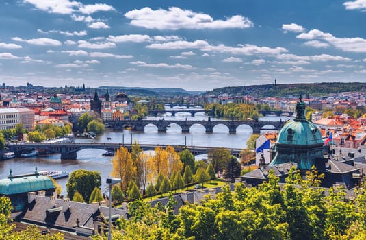 The blooming bush of lilac against Vltava river and Charles bridge, Prague