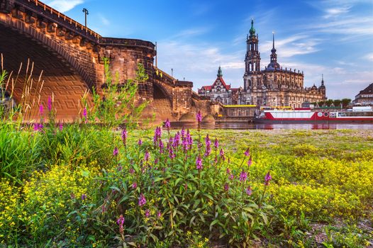 Scenic summer view of the Old Town architecture with Elbe river embankment in Dresden, Saxony, Germany