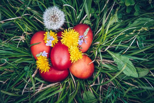 Red easter eggs on the grass with flowers and blowballs, spring holidays concept, naturally colored easter eggs with onion husks. Happy Easter, Christian religious holiday.