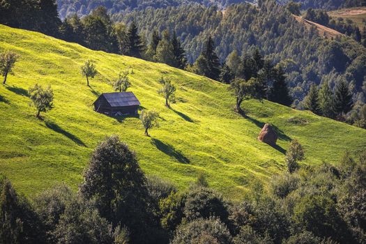 Summer alpine Transylvania landmark, landscape with green fields and valleys, high Piatra Craiului mountains, Carpathians, Transylvania, Romania, Europe