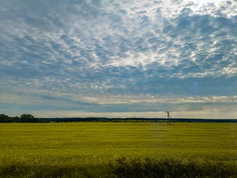 Beautiful cloudy morning over yellow fields from train