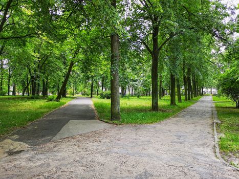 Long concrete paths in park between lamps and trees