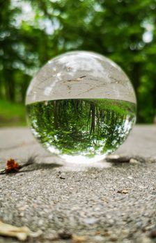 Path in park reflected in crystal glassy lens ball