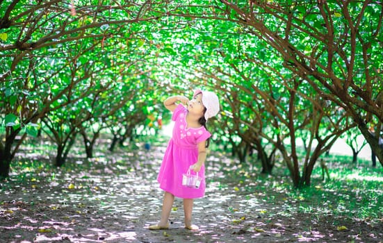 little asian girl looking the mulberry fruit in the garden