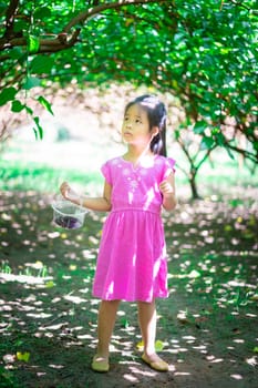 little asian girl looking the mulberry fruit in the garden