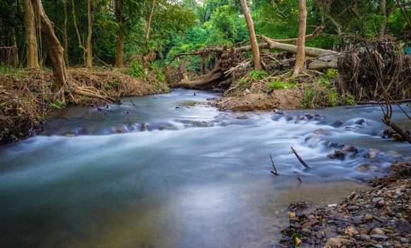 Small stream from mountain in the tropical forest