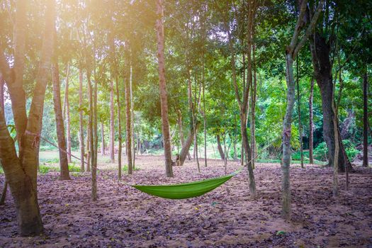 Hammock between two trees in the forest while camping