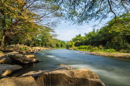 Summer nature forest river stone landscape