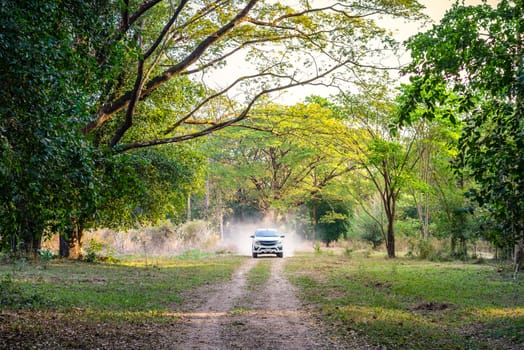 car in the forest road, adventure travel