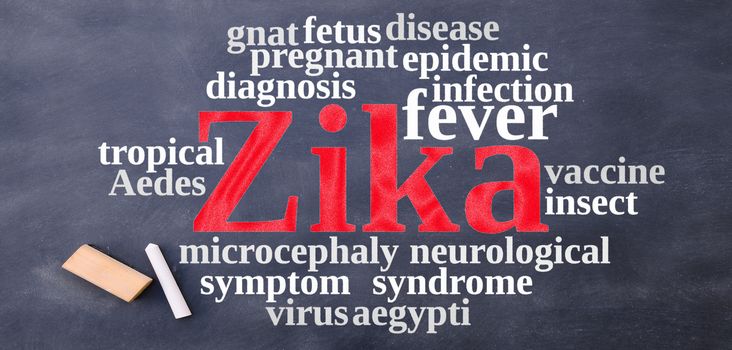 Blackboard with word cloud on the Zika virus.