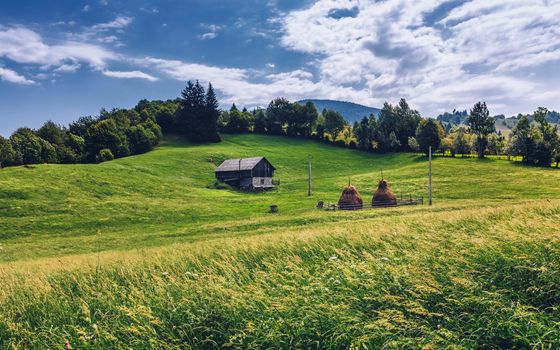 Traditional management of mountain pastures in the Maramures region/Maramures, Romania, Europe
