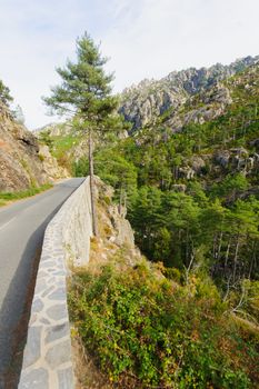 The Restonica Gorge (Gorges de la Restonica) in Corsica, France
