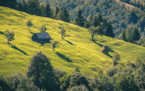 Stunning alpine landscape and green fields, Transylvania, Romania, Europe