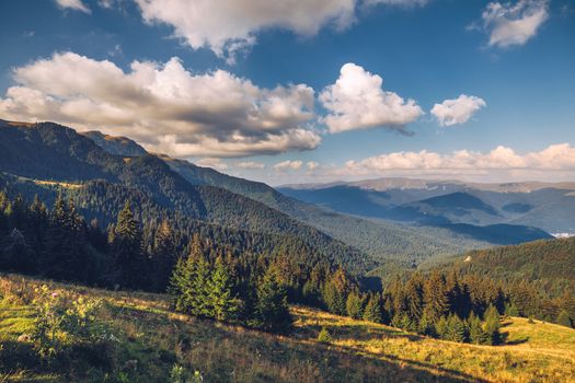 Summer alpine Transylvania landmark, landscape with green fields and valleys, high Piatra Craiului mountains, Carpathians, Transylvania, Romania, Europe