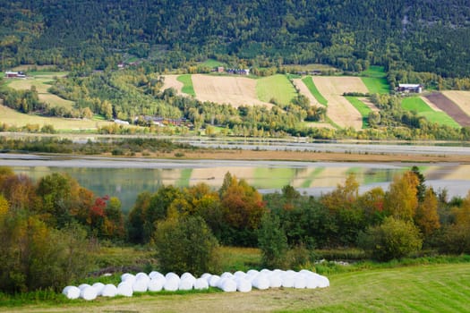 View from road 13, Norway