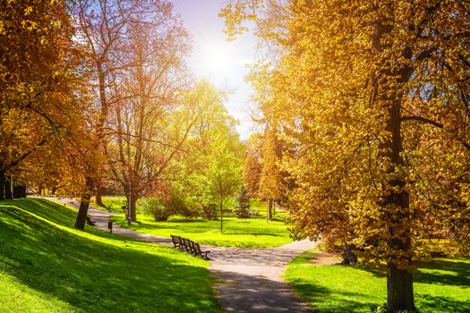 Magical autumn park with path and fantastic glow, fairytale landscape with red foliage