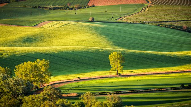 Green summer landscape scenic view