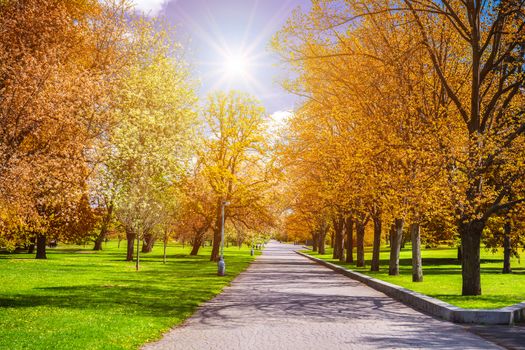 Magical autumn park with path and fantastic glow, fairytale landscape with red foliage