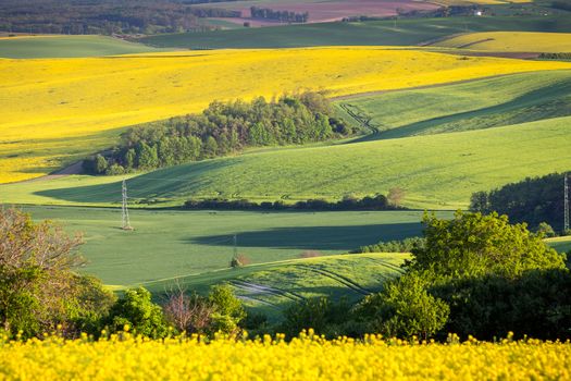 Green summer landscape scenic view