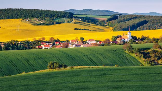 Green summer landscape scenic view