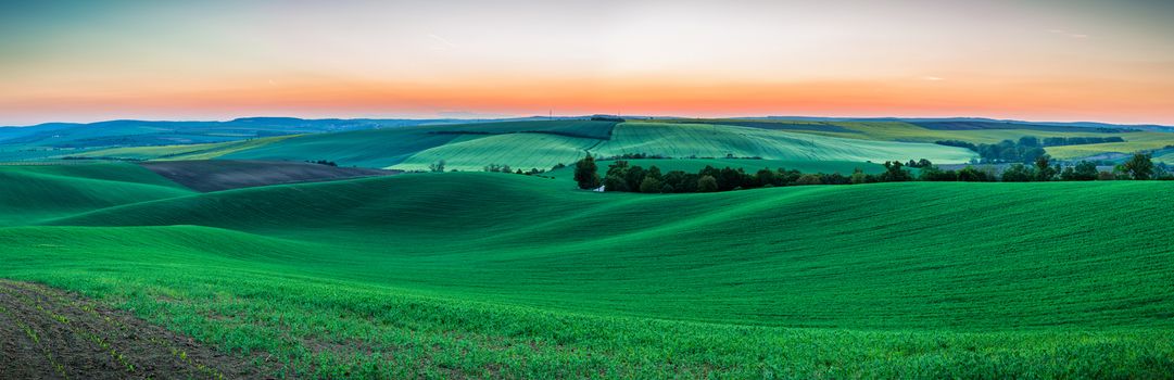 Endless Green Fields, Rolling Hills, Tractor Tracks, Spring Landscape under Blue Sky. South Moravia, Czech Republic