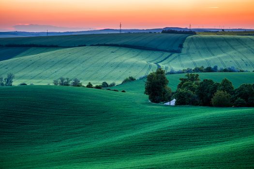 Endless Green Fields, Rolling Hills, Tractor Tracks, Spring Landscape under Blue Sky. South Moravia, Czech Republic