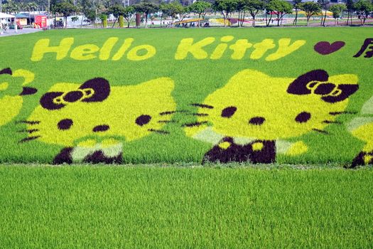 PINGTUNG, TAIWAN -- FEBRUARY 14, 2018: Farmers grow different color strains of rice to create Hello Kitty images in a rice field at the Pingtung Tropical Agricultural Fair.
