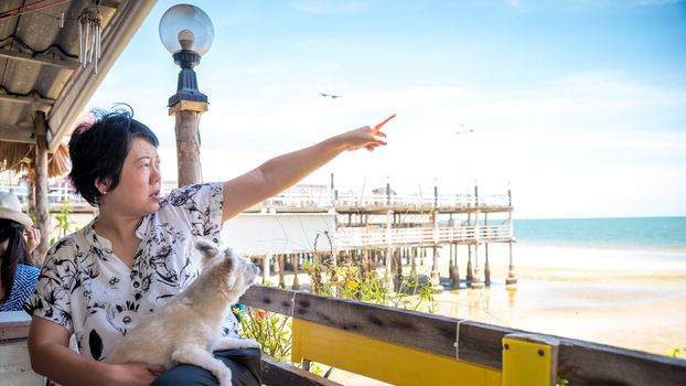 Asian women point finger to sky with sunlight and the dog so cute mixed breed with Shih-Tzu, Pomeranian and Poodle at beach and the sea when travel