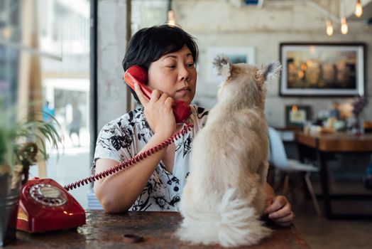 Asian women and dog so cute mixed breed with Shih-Tzu, Pomeranian and Poodle in coffee shop cafe with a red telephone vintage style