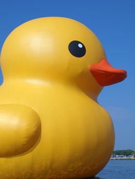 KAOHSIUNG, TAIWAN -- SEPTEMBER 29: The giant rubber duck designed by Dutch artist Hofman goes on display at the Glory Pier on September 29, 2013 in Kaohsiung